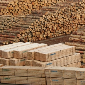В 1 пол. 2024 г. из Архангельской обл. экспортировано 763 тыс. м³ лесопродукции